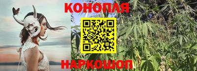 spice Кинель