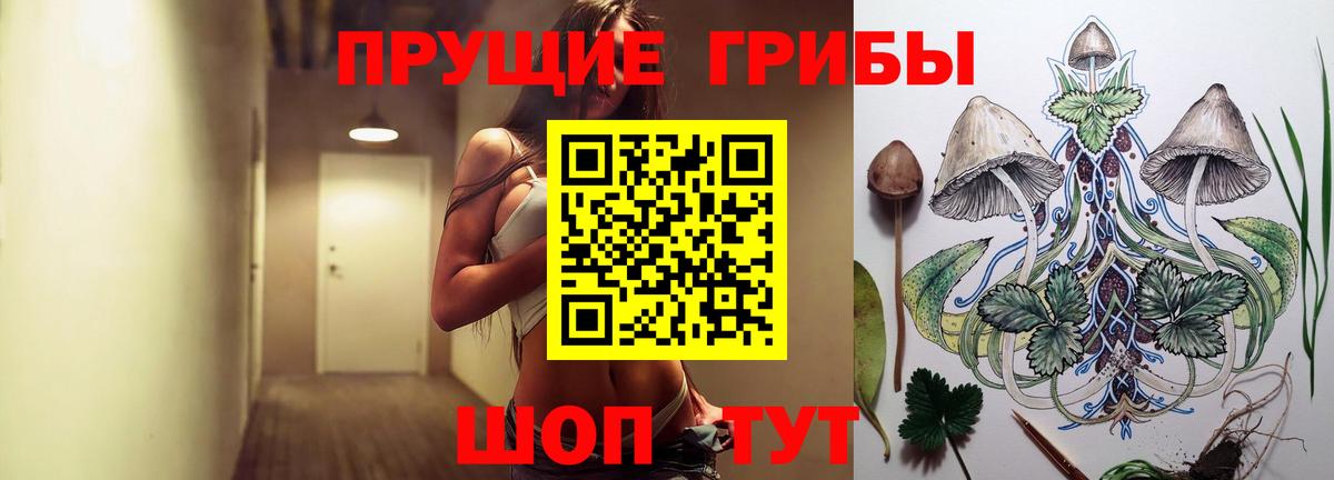 Курск  Псилоцибиновые грибы ЛСД  Псилоцибиновые грибы Cubensis  Вход с VPN 