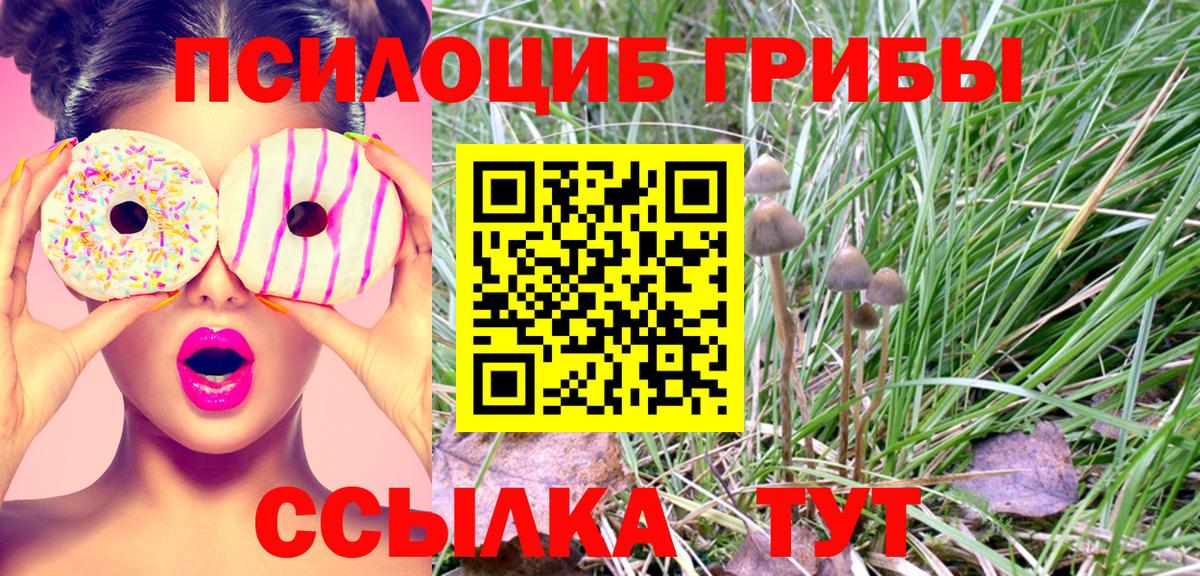 МЕФ   МДМА  COCAIN  А ПВП СК   Вход с VPN  Курск  ЭКСТАЗИ  Конопля  ГАШИШ 